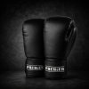 GUANTE DE BOXEO PARA ENTRENO PREMIER