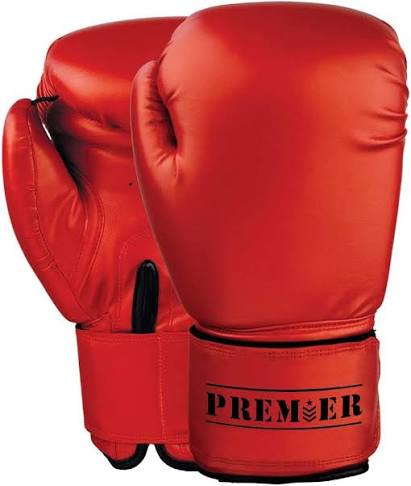 GUANTE DE BOXEO PARA ENTRENO PREMIER